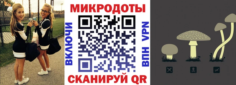 Галлюциногенные грибы ЛСД  Купить где  Красавино 