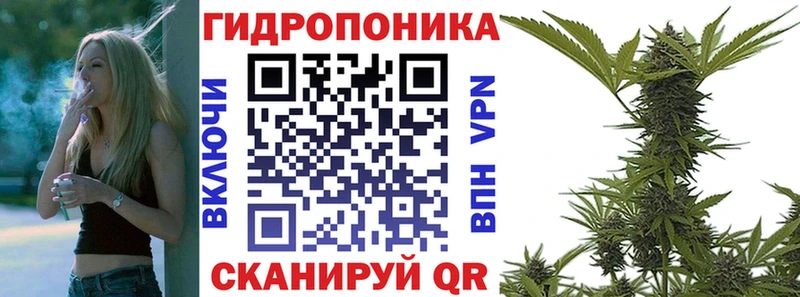 Купить закладки  Красавино  Бошки марихуана гибрид 